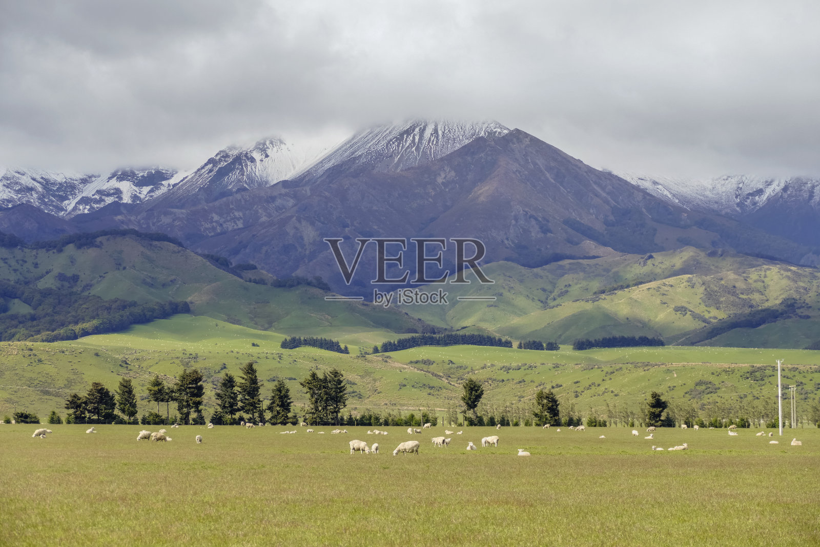 但尼丁周围风景照片摄影图片