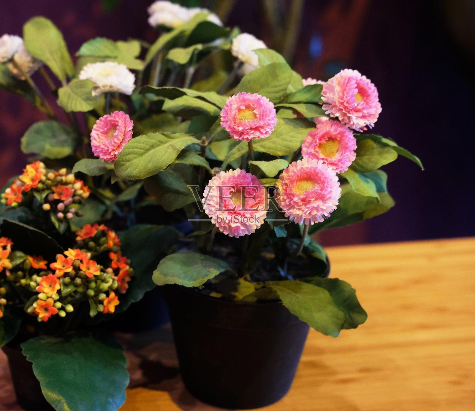 桌子上的花盆照片摄影图片