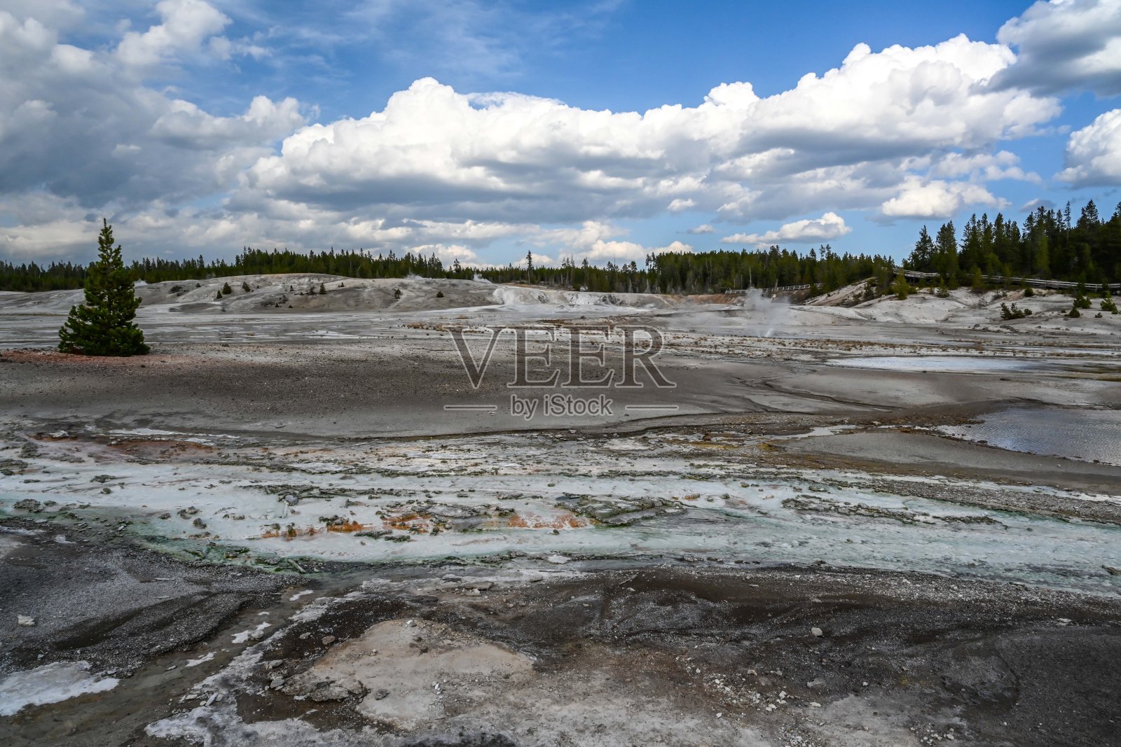 怀俄明州黄石国家公园的Whirligig间歇泉照片摄影图片