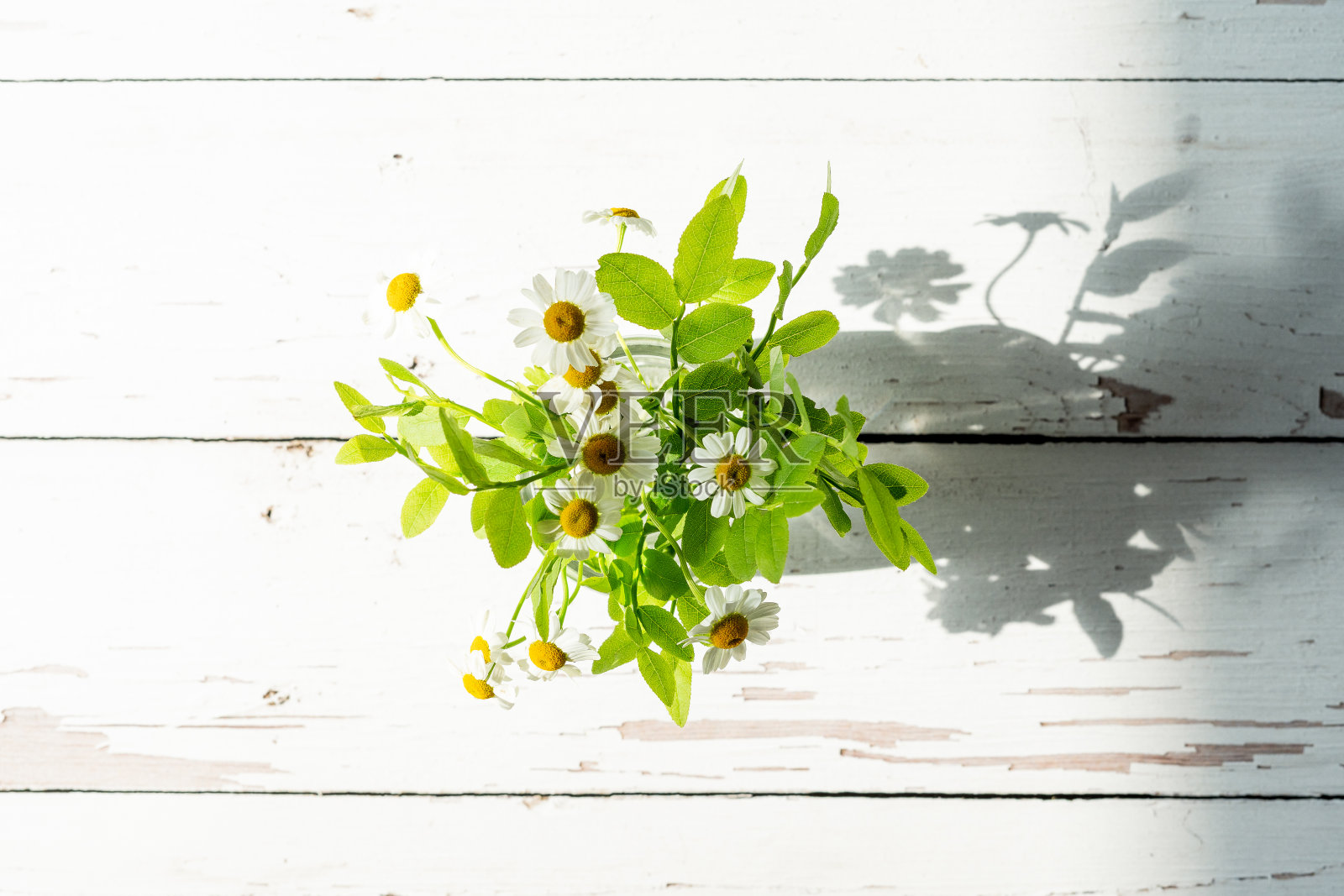 木桌上的玻璃瓶里放着一束野花，洋甘菊，夏日的概念照片摄影图片