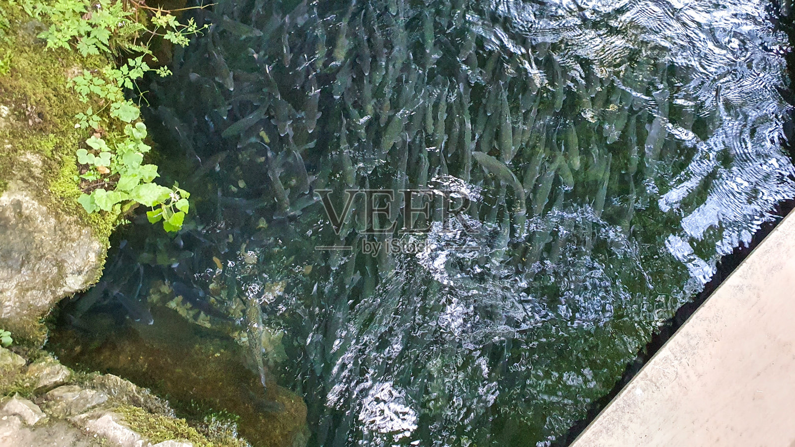 克鲁派斯科照片摄影图片