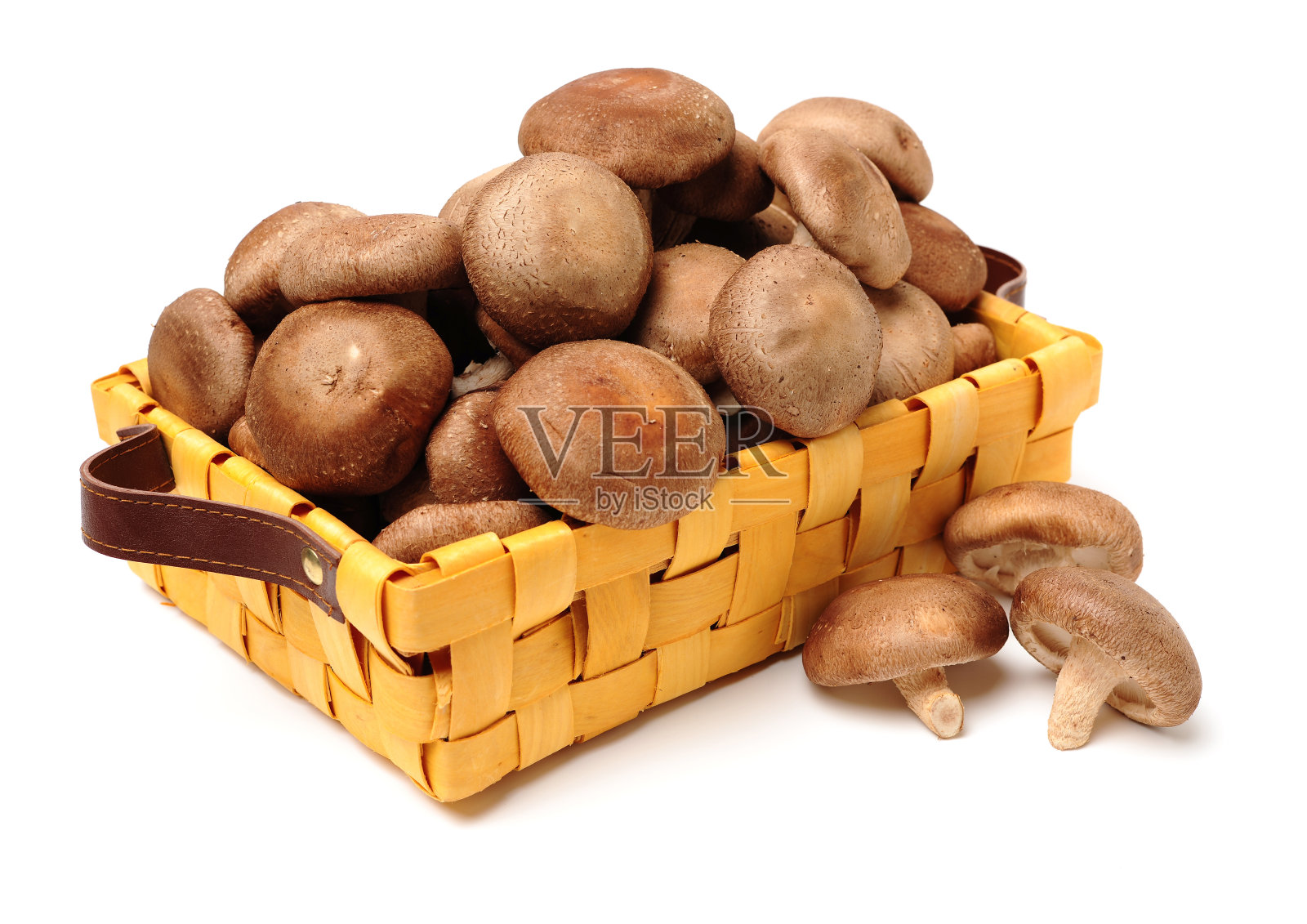 香菇照片摄影图片