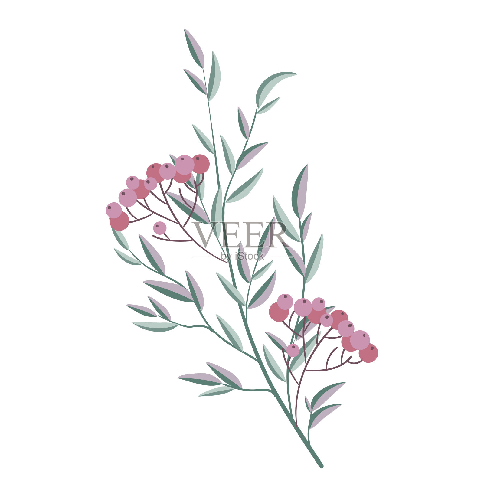 山白蜡的装饰枝设计元素图片