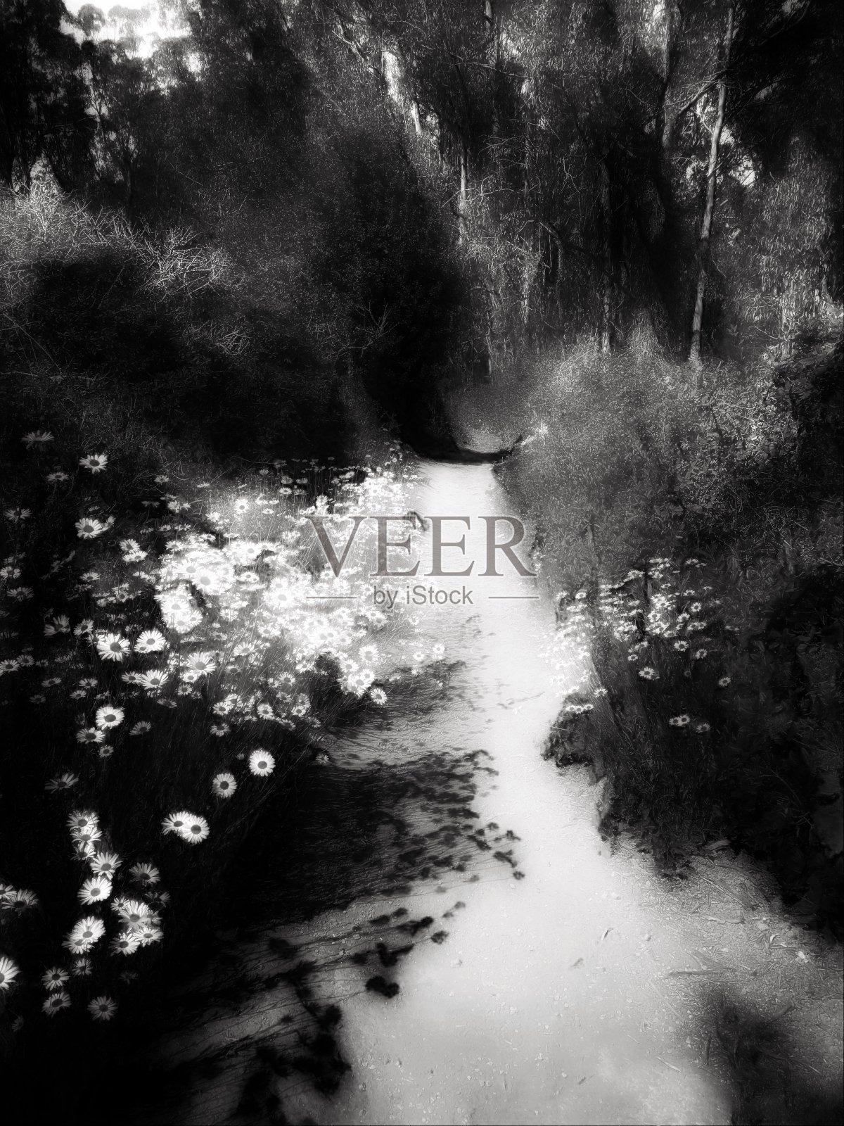 路边花(摘要)照片摄影图片