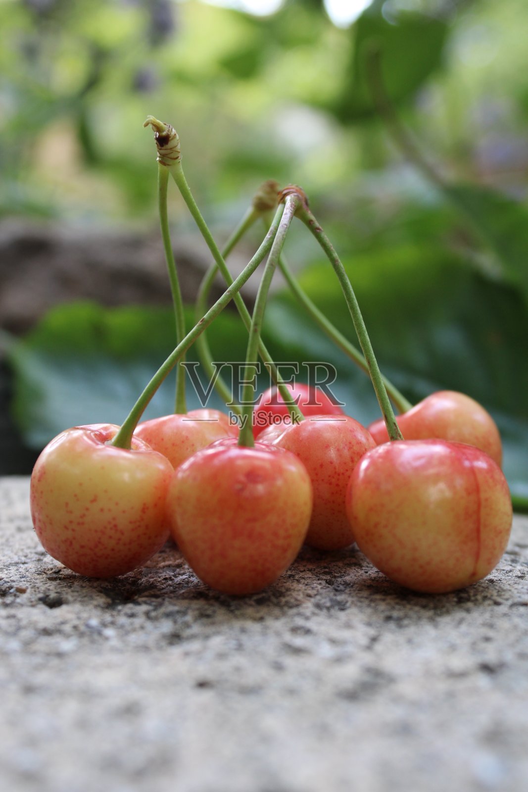 食物和水果照片摄影图片