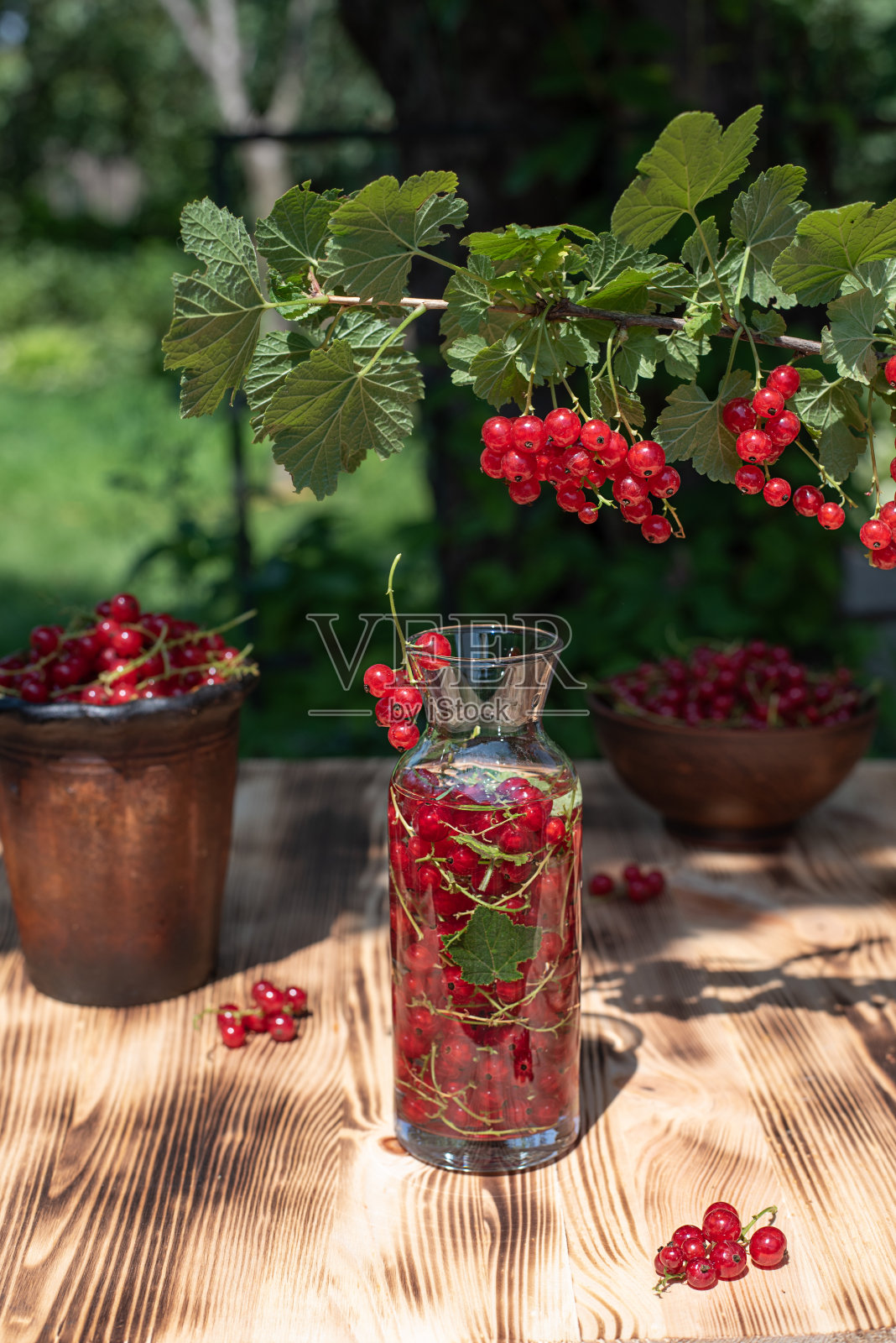 阳光明媚的日子里，花园里的木桌上放着红醋栗的玻璃瓶和碗。照片摄影图片