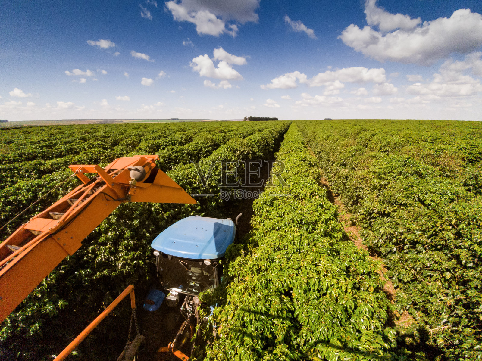 咖啡联合收割机照片摄影图片
