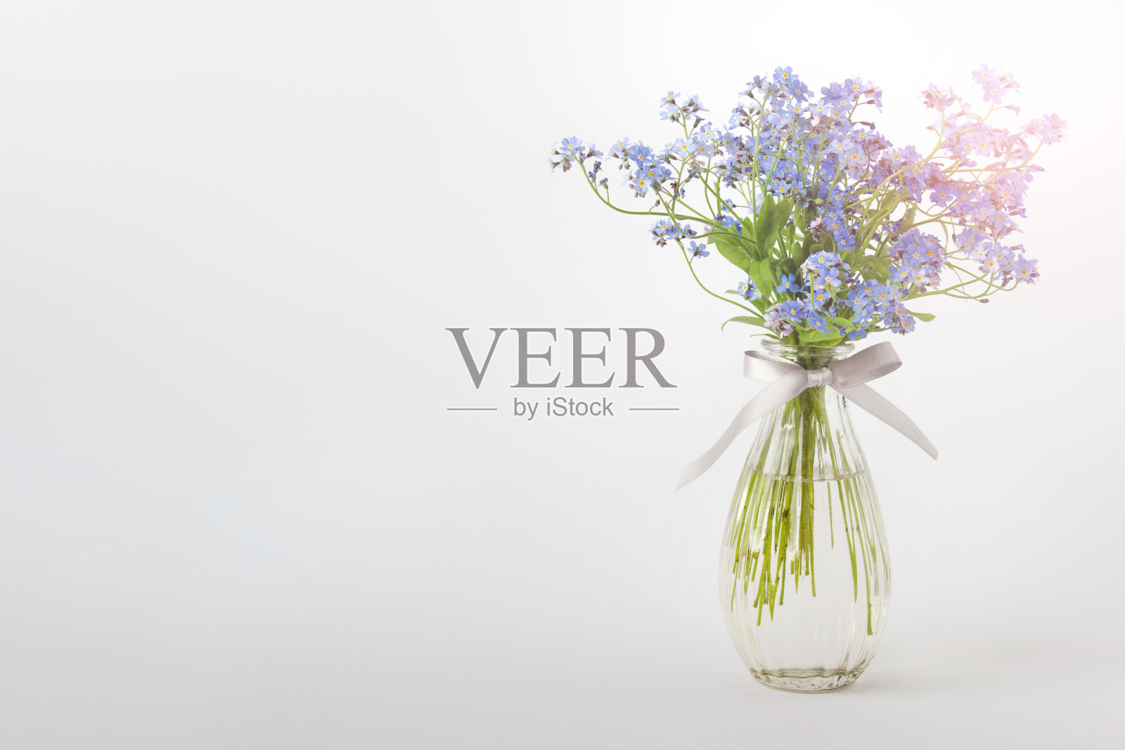 一个花瓶上有蓝色的野生森林花朵。图像与复制空白。照片摄影图片