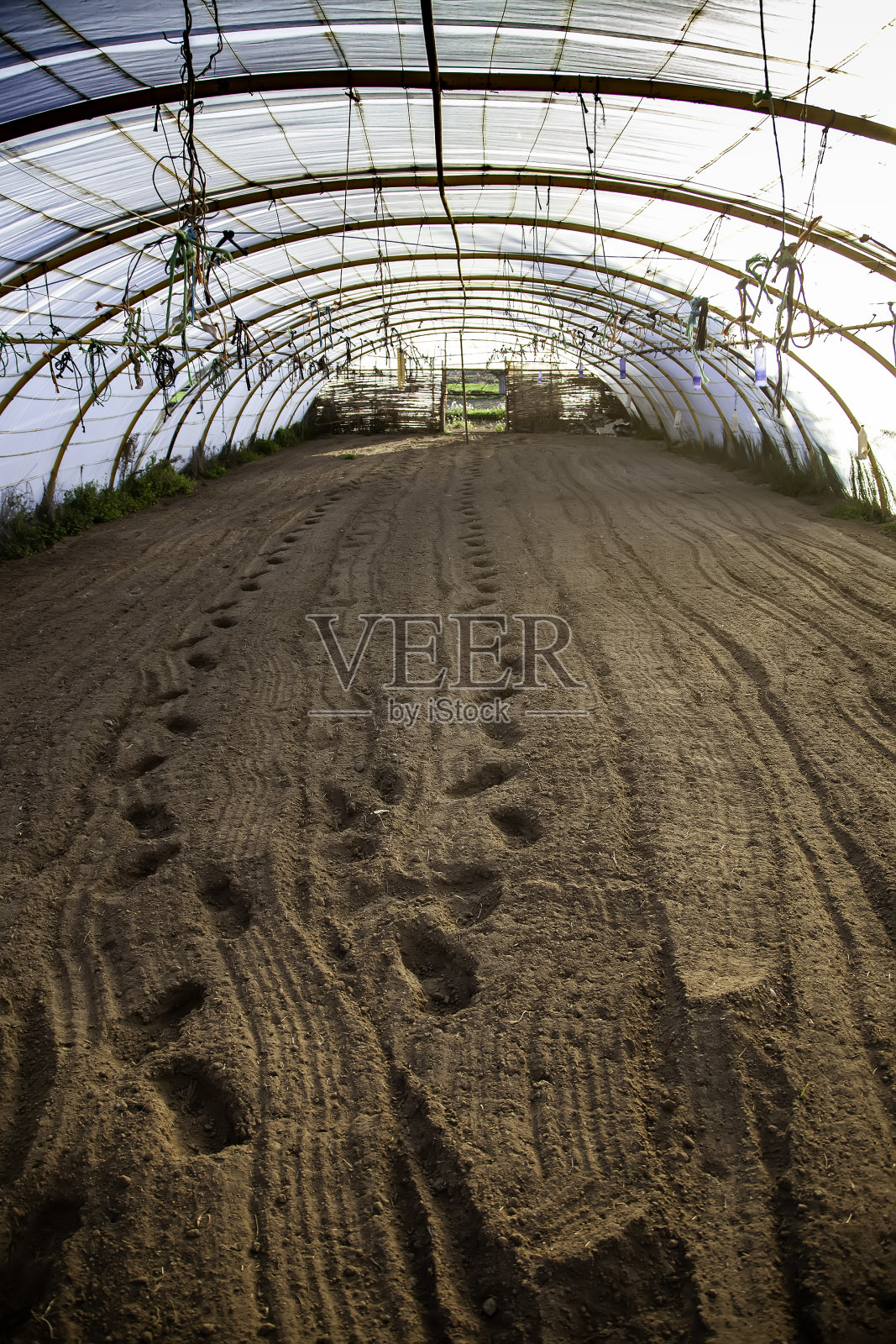 废弃的温室在农村照片摄影图片