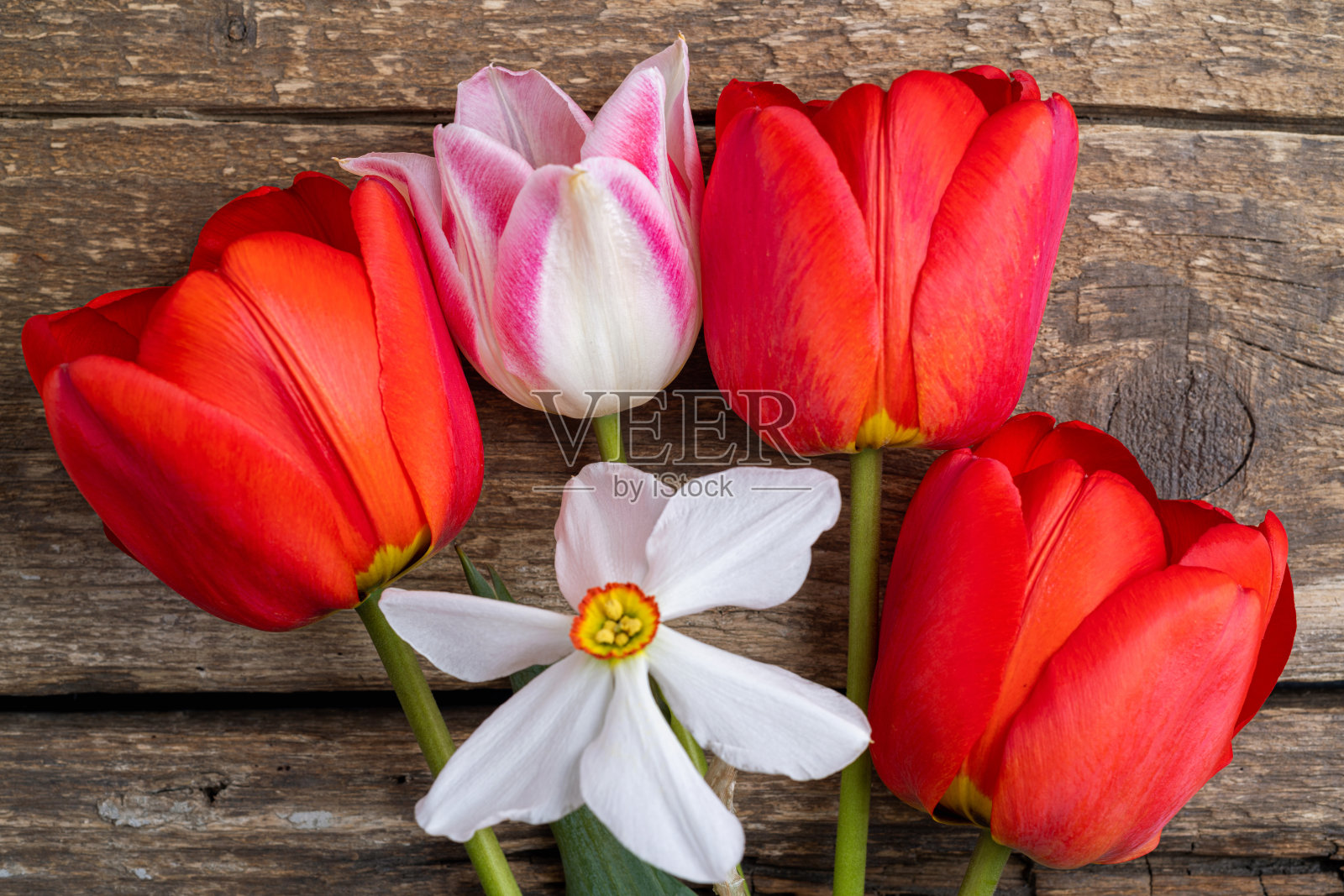 节日花组成的郁金香花，水仙花在旧的木制背景。春假概念背景。一束郁金香花。复活节和春天的贺卡照片摄影图片