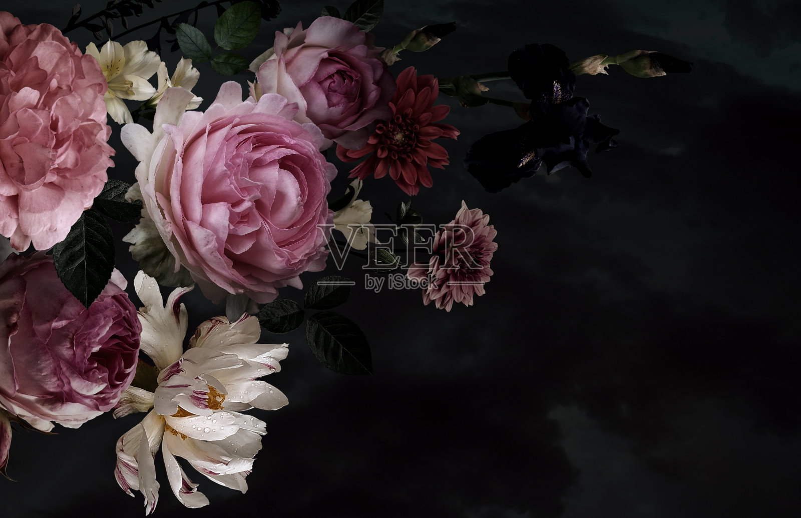 美丽的花园的花。古董花卡。照片摄影图片