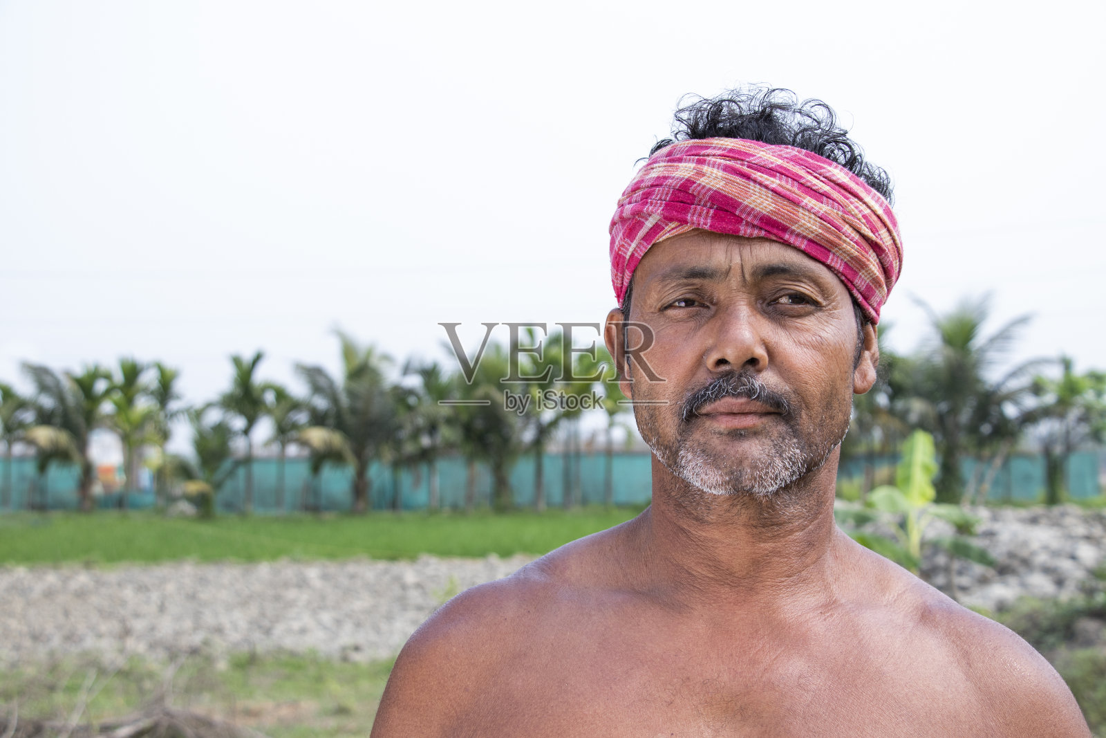 站在农田里的印度农民照片摄影图片