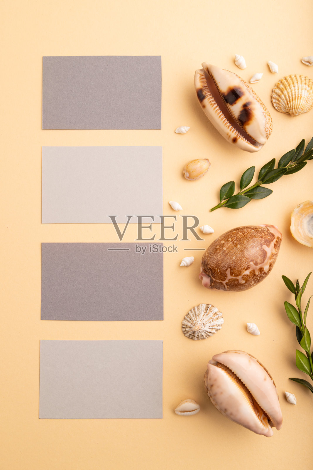 由灰纸组成的名片、贝壳、绿黄杨木。模型上的橙色背景。空白，俯视图，静物，平铺，复制空间。旅行的概念。照片摄影图片