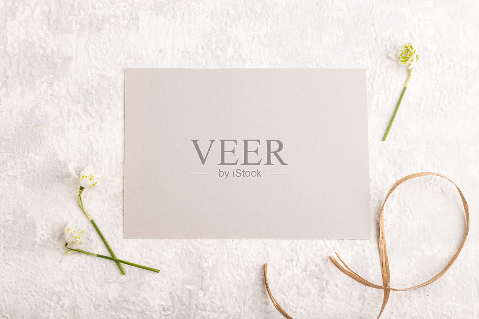 灰色纸模型与春天雪花莲花灰色混凝土背景。空白，名片，俯视图，平铺，拷贝空间，静物。春天的概念。照片摄影图片