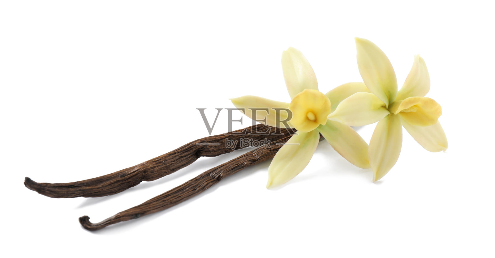 芳香的香草枝和美丽的花在白色的背景照片摄影图片