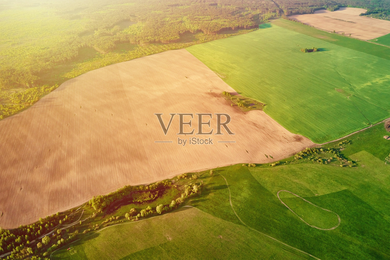 鸟瞰图农业和绿色的田野在农村照片摄影图片