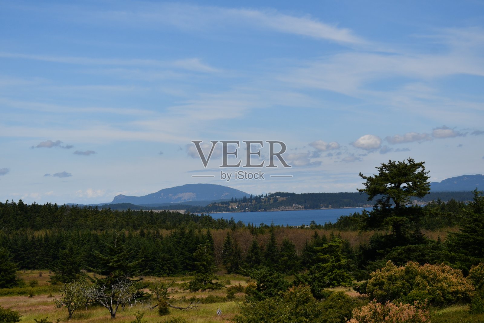 海龟回来# 1照片摄影图片