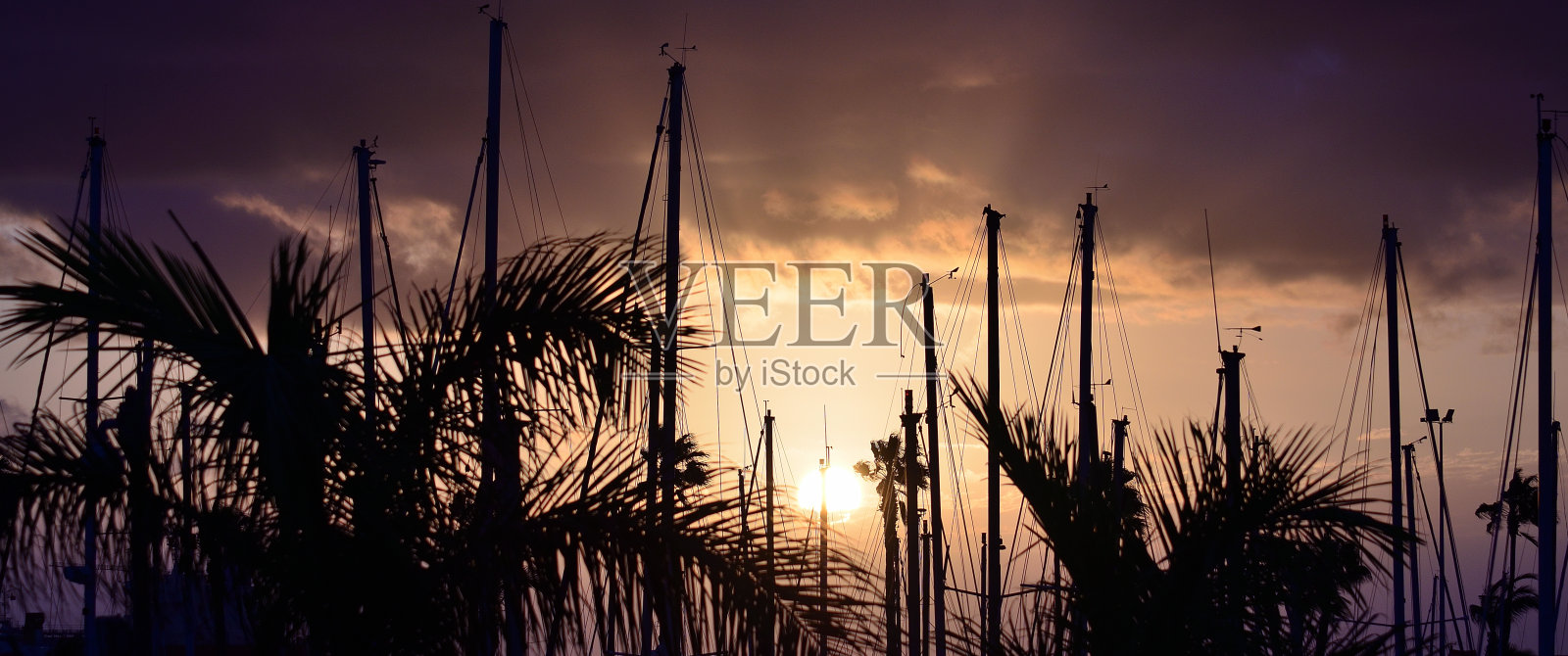 日出时的船桅和棕榈树照片摄影图片