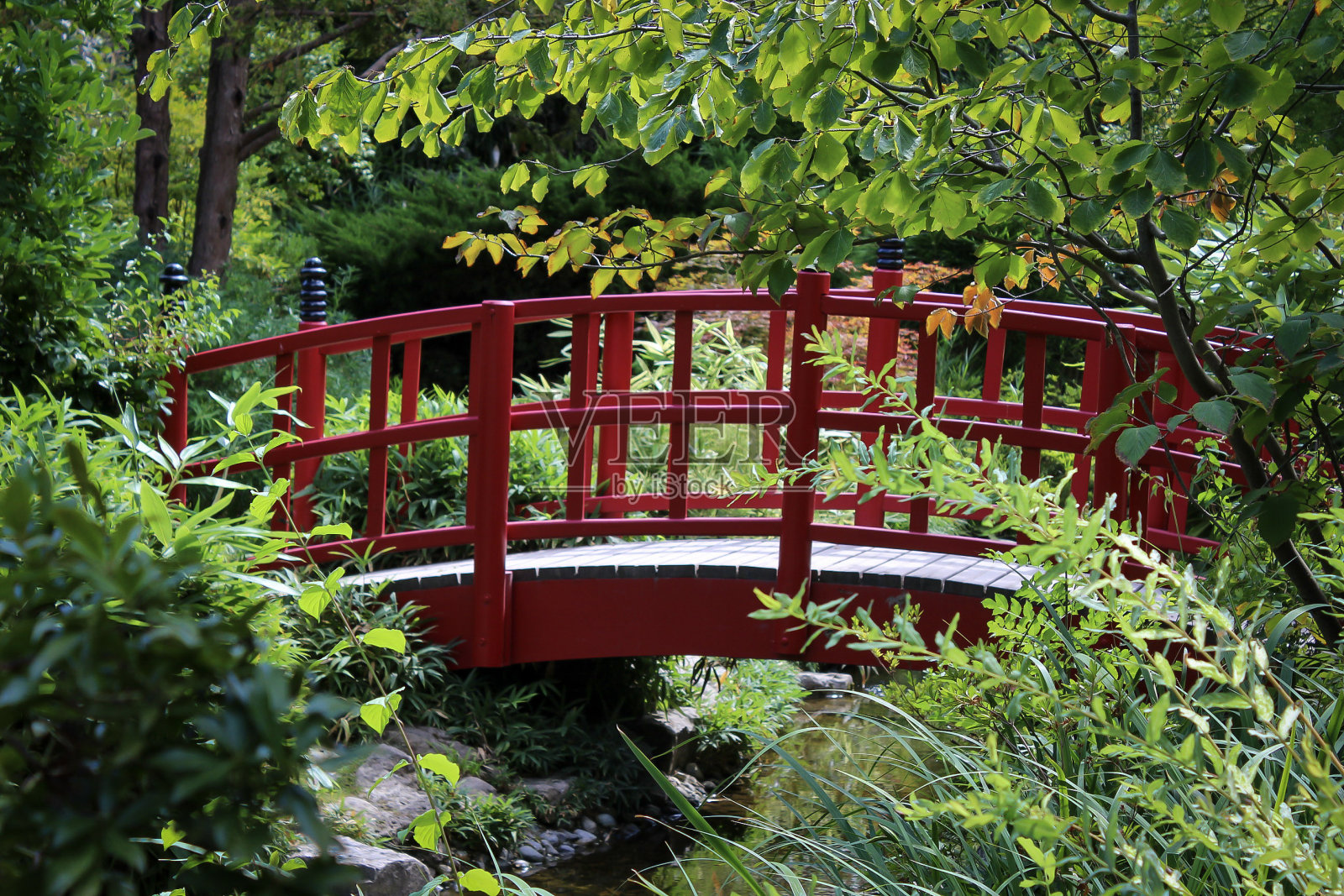 日本禅宗花园中的红色鸟居门和漆拱桥。照片摄影图片