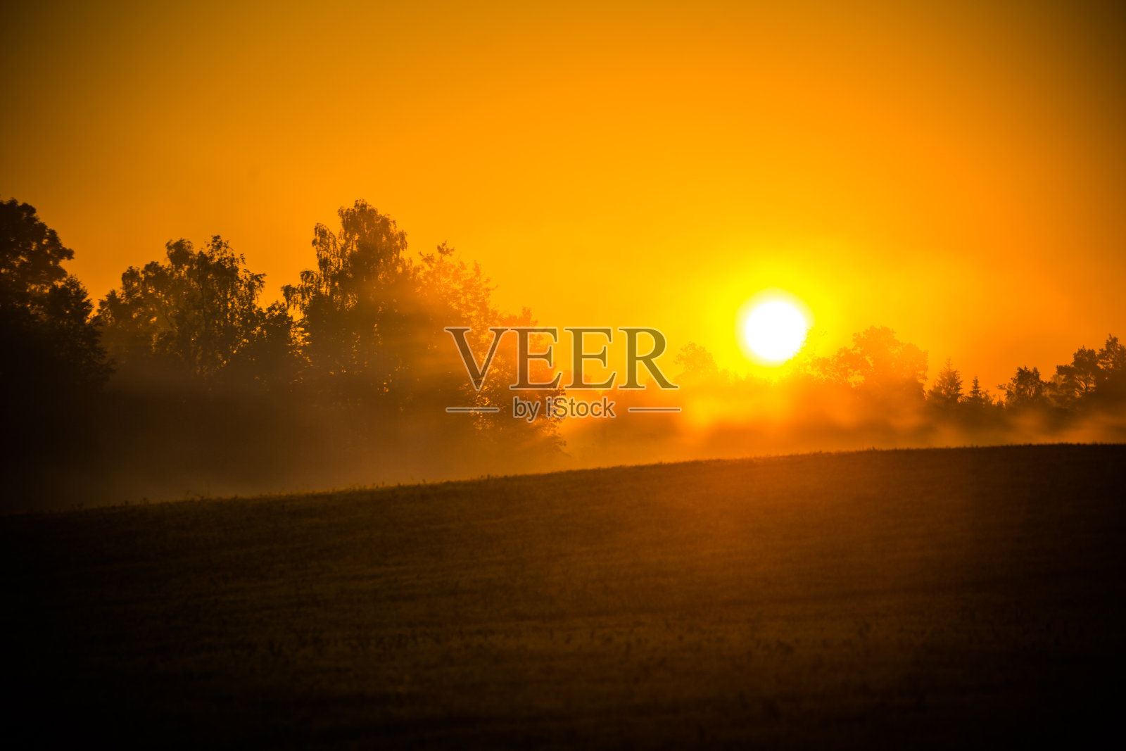在夏天的日出时，一个太阳圆盘穿过薄雾闪闪发光。照片摄影图片