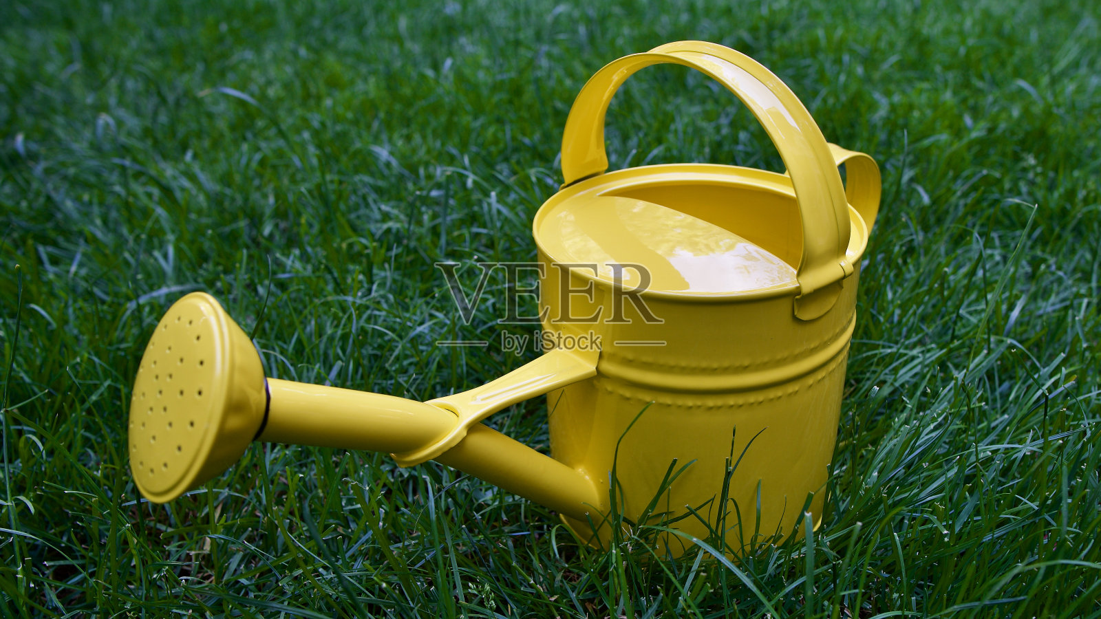 花园浇水。照片摄影图片