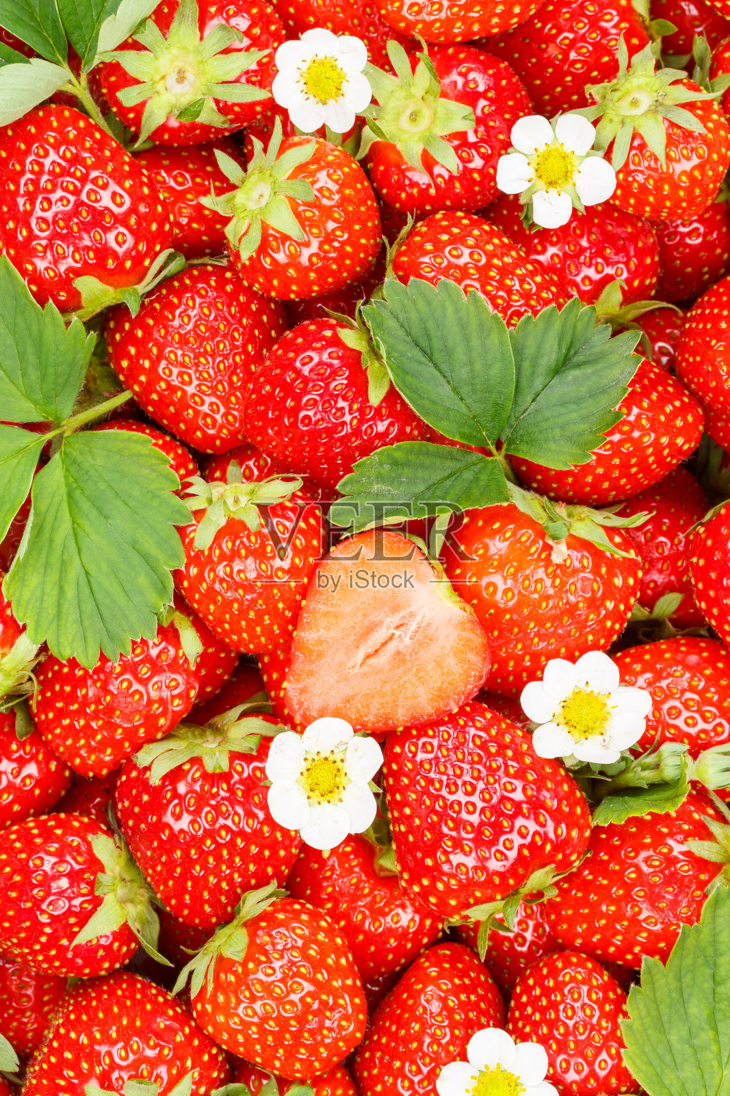 草莓浆果水果草莓浆果水果与树叶和花朵切片肖像格式的背景照片摄影图片