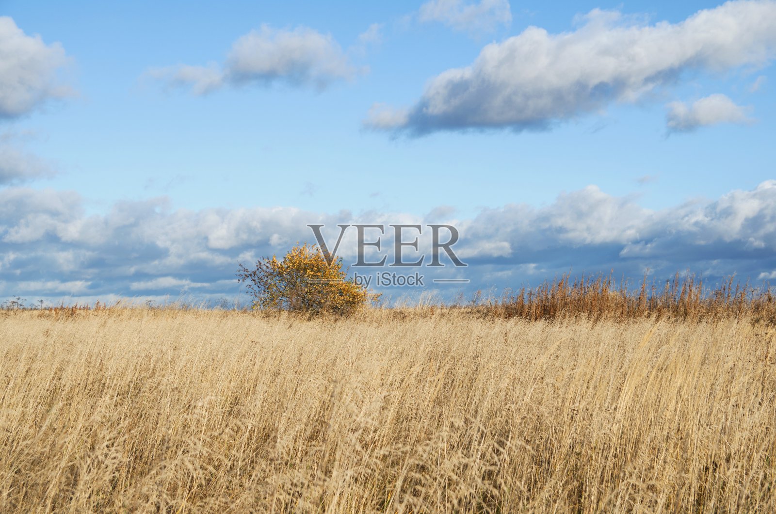 大自然在秋天的季节照片摄影图片