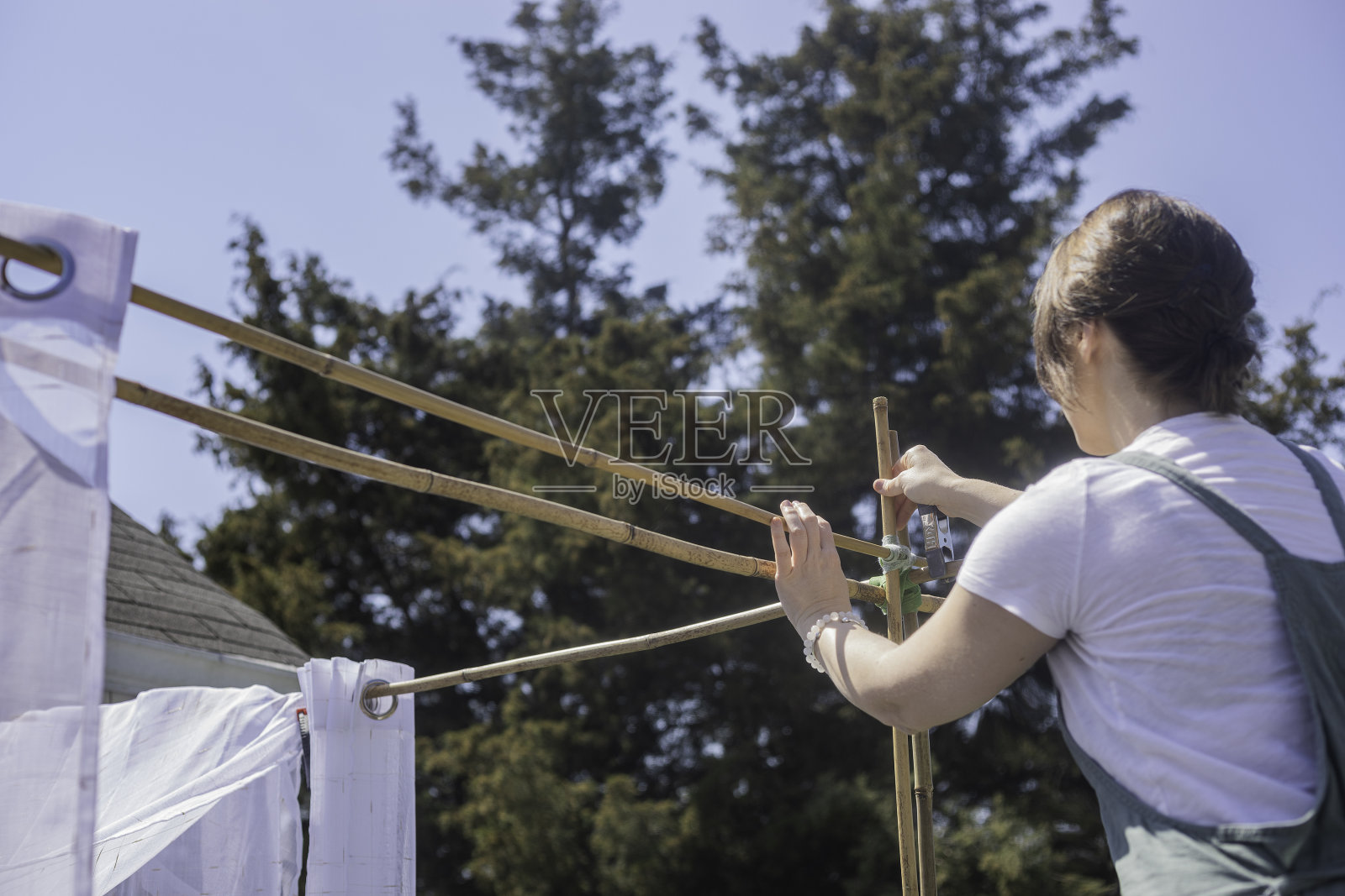 期间-建造一个竹藤架照片摄影图片