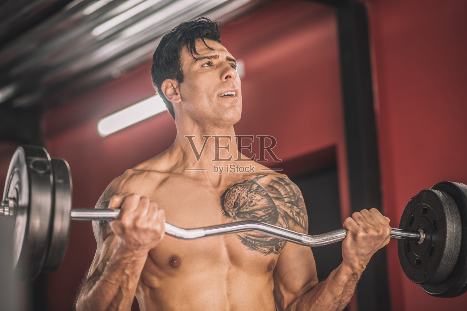 一个胸前有纹身的年轻人在健身房练杠铃照片摄影图片