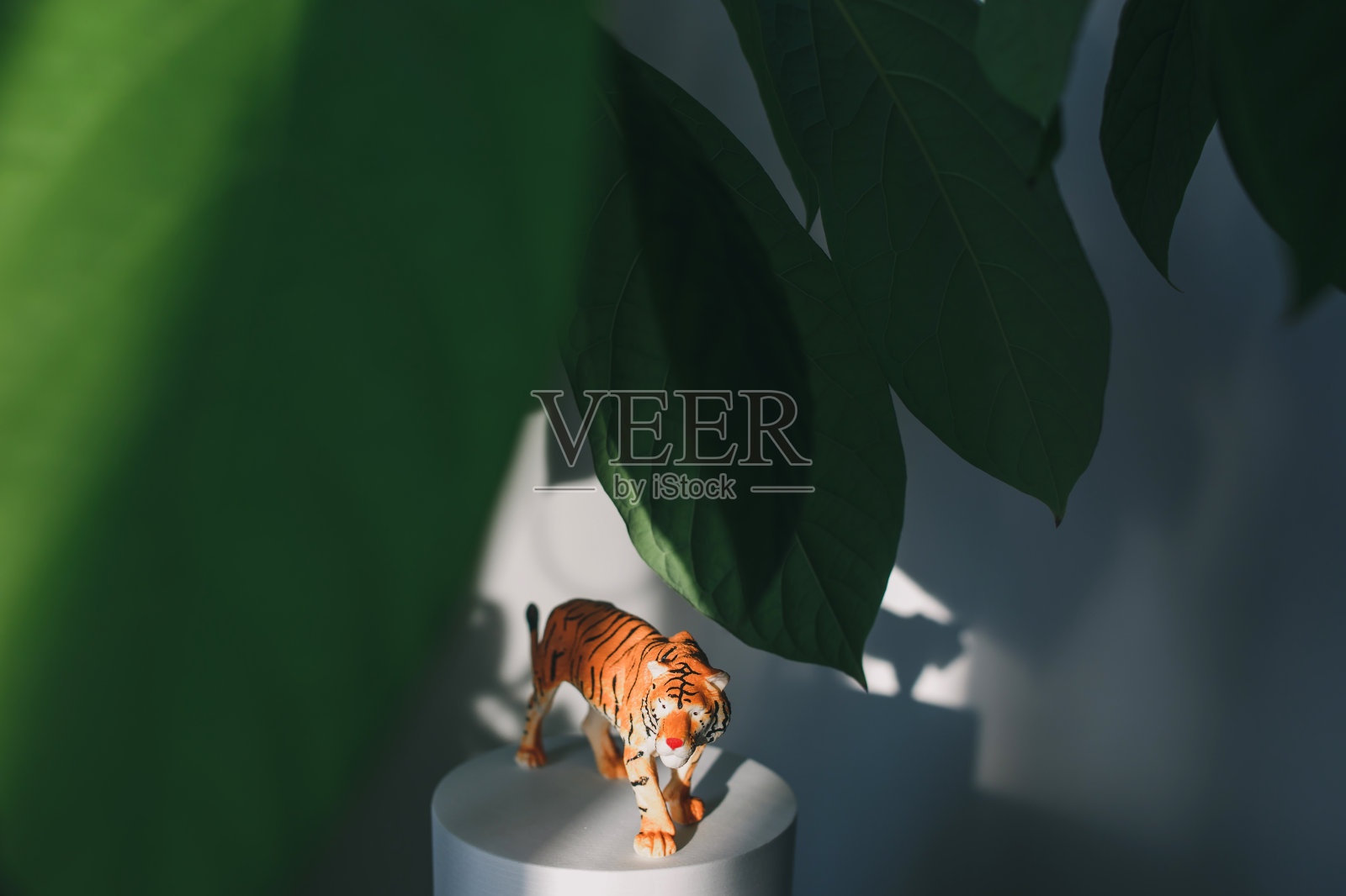 一个老虎雕像在树叶中，象征着2022年的中国新年。照片摄影图片