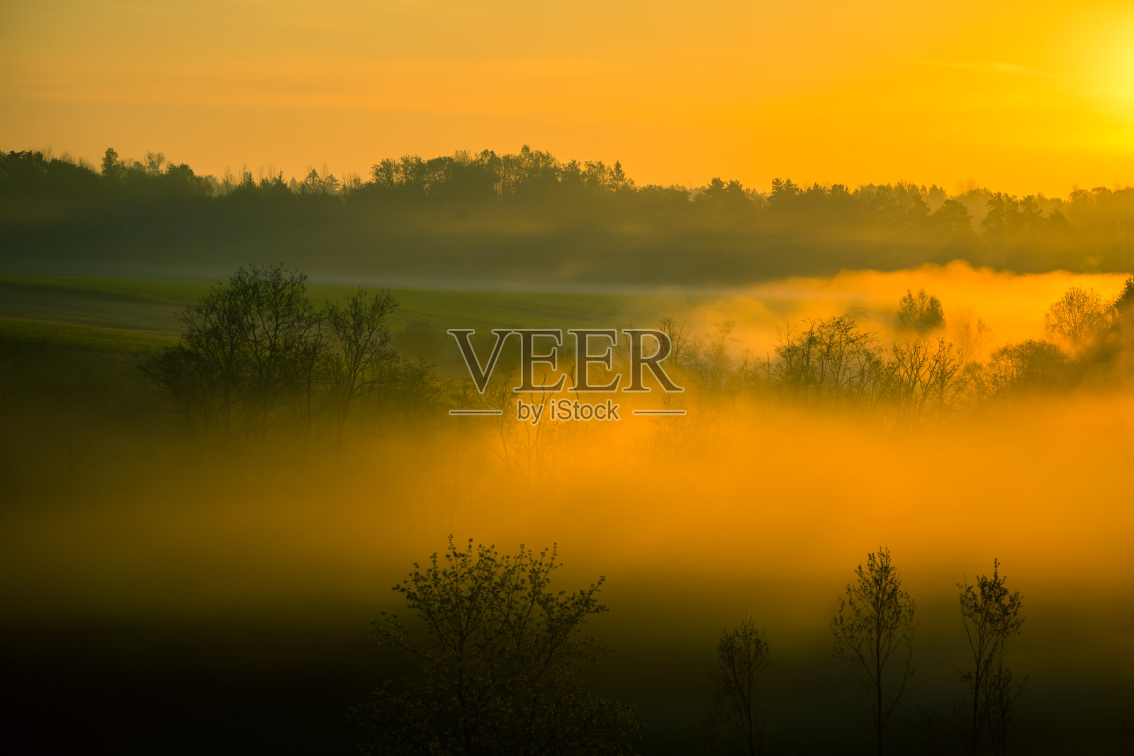 夏日日出时，阳光透过薄雾和树木。照片摄影图片