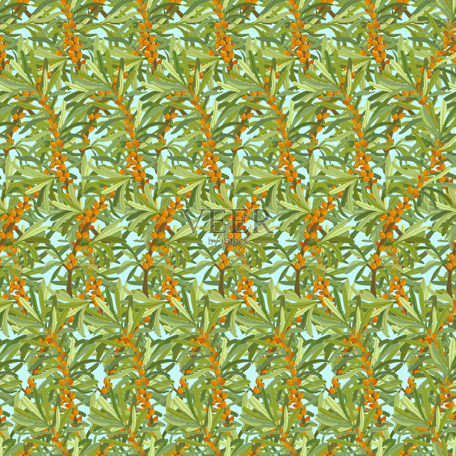 沙棘分支。沙棘的浆果和叶子。无缝模式。矢量插图。插画图片素材