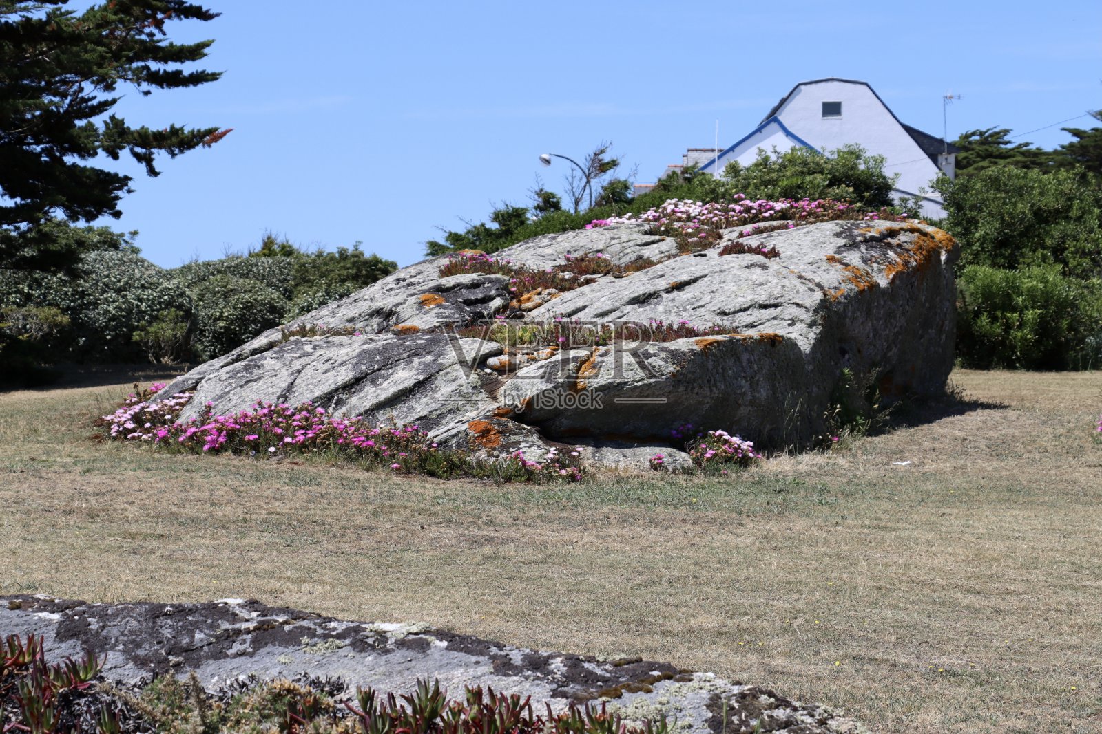 就像花园里的石头人照片摄影图片