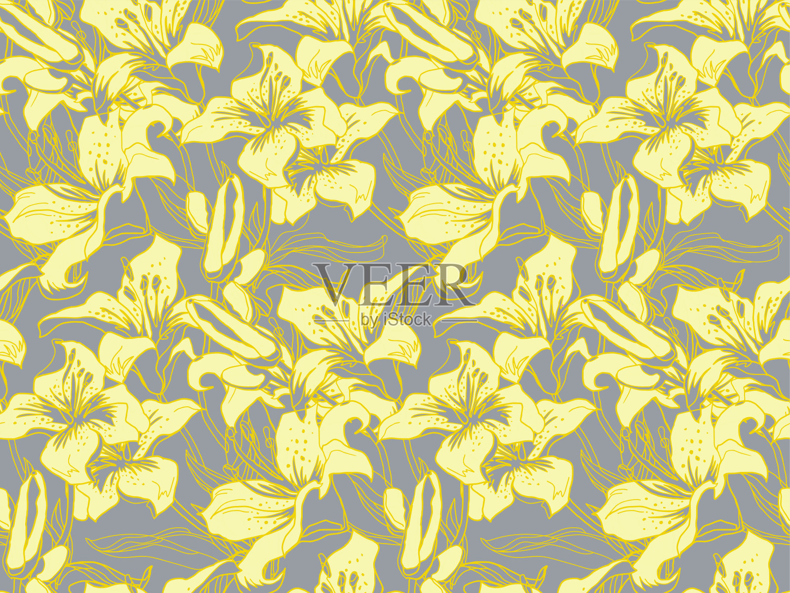 黄色照亮百合花的轮廓，芽和叶的终极灰色。插画图片素材