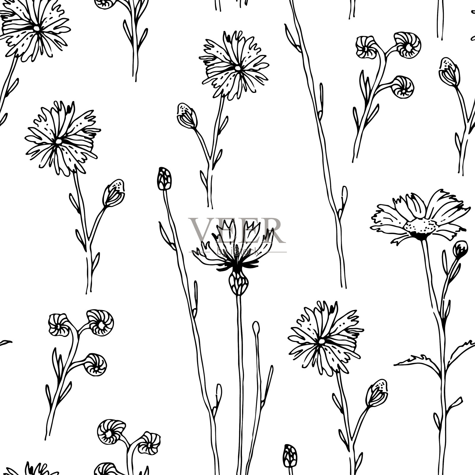 草本花卉无缝图案手绘插画图片素材