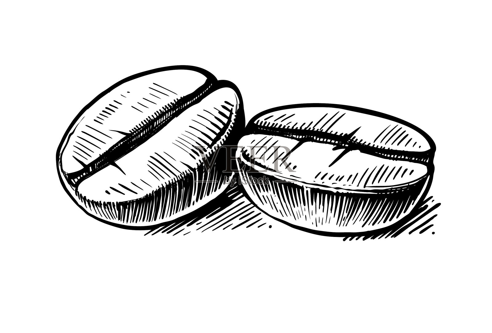 咖啡豆素描手绘复古剪辑艺术插画图片素材