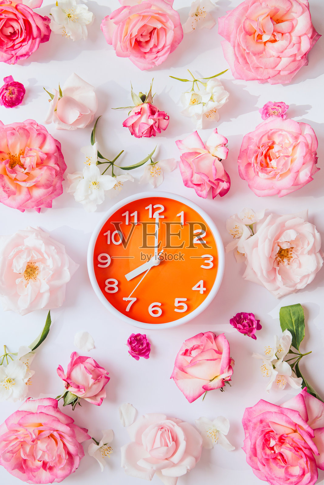 橙色圆形模拟闹钟在白色背景与玫瑰花蕾。夏日早晨的概念。8点钟。前视图。平的。照片摄影图片