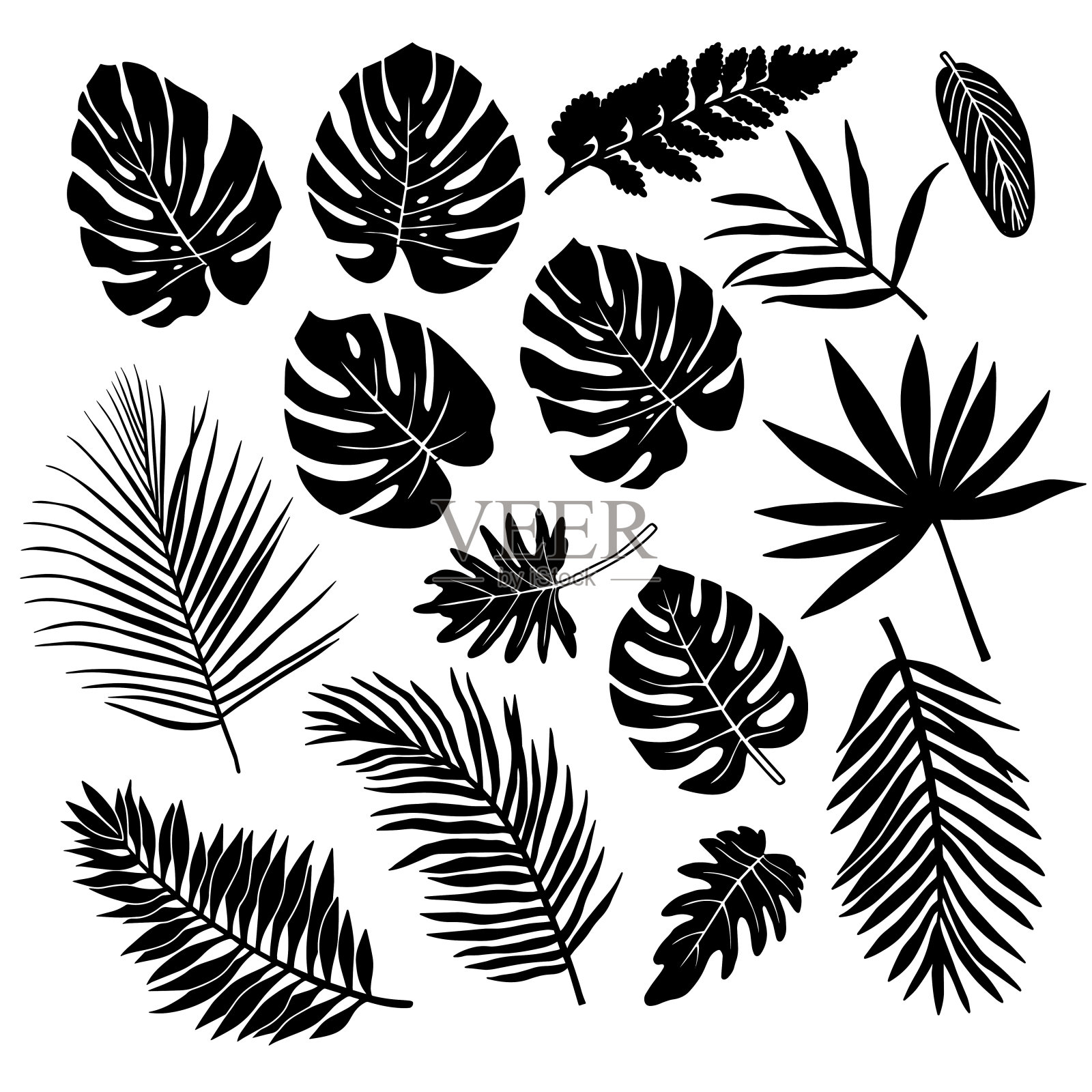 热带树叶的剪影。插画图片素材