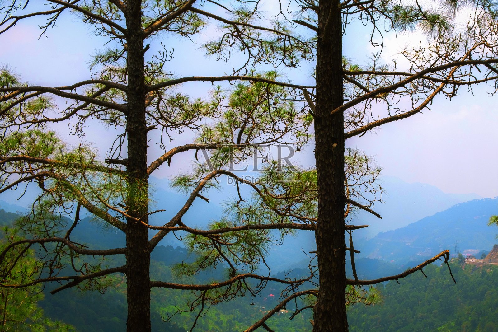 山中的早晨照片摄影图片