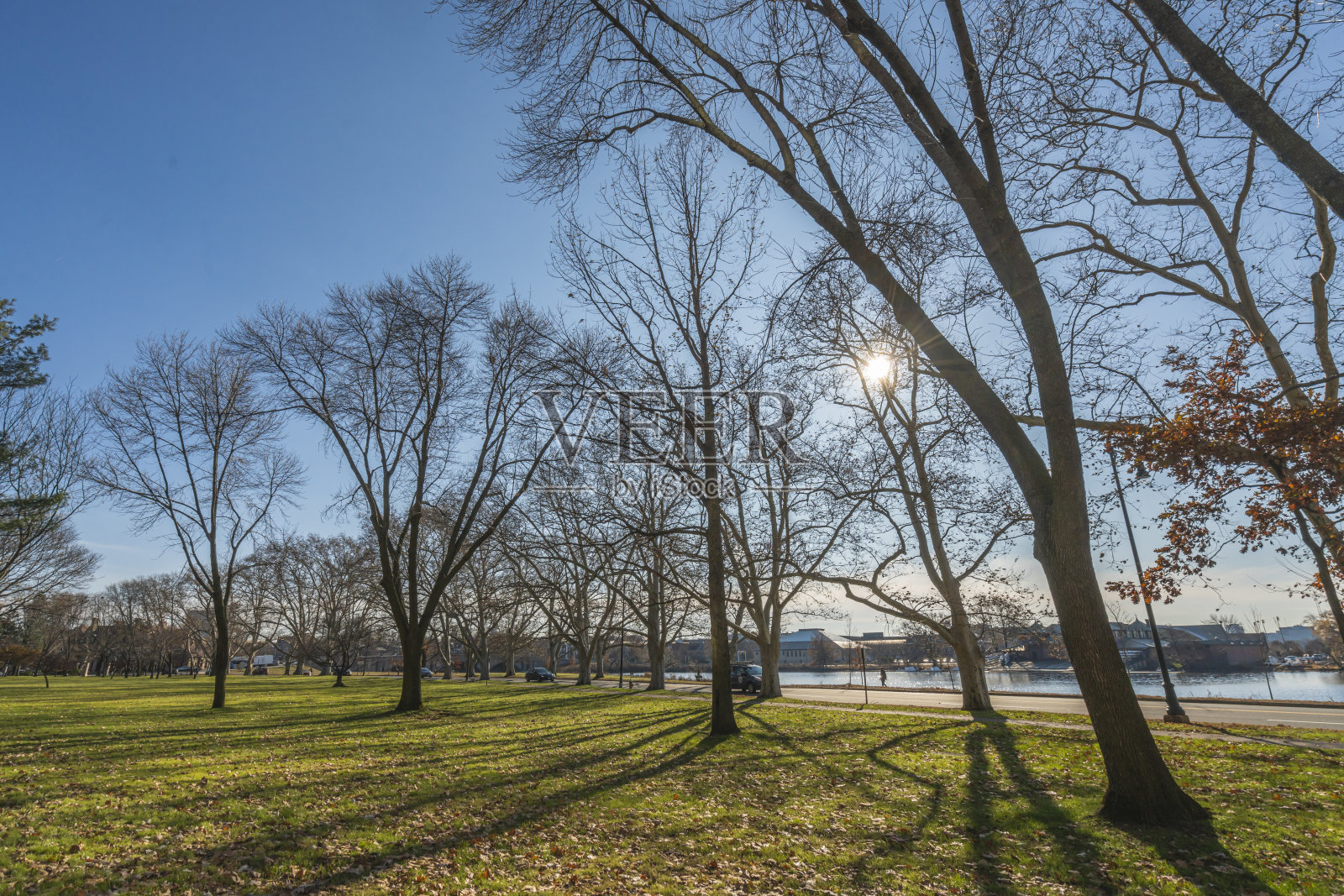 树木花园公园和美丽的湖在马萨诸塞州波士顿照片摄影图片