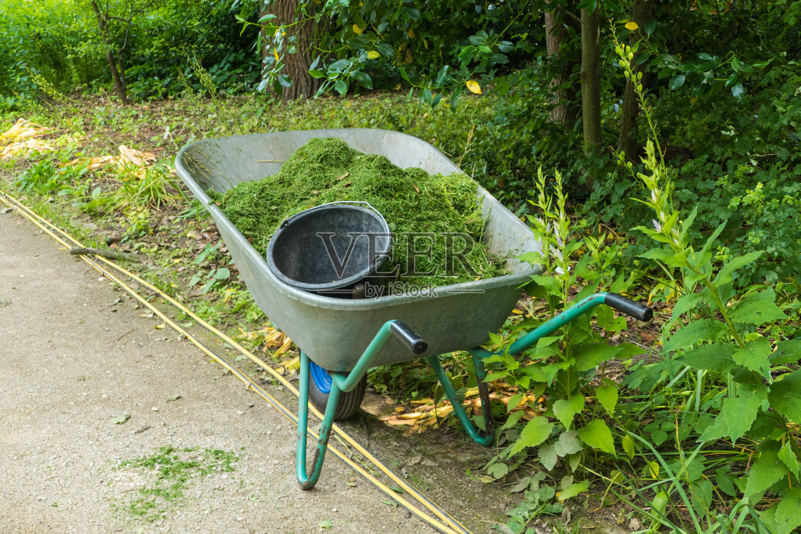 手推车里的草屑照片摄影图片