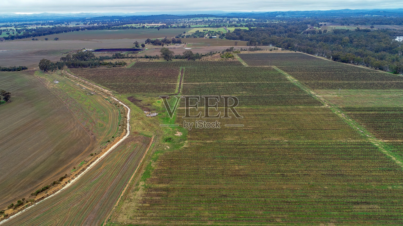 维多利亚Nagambie的开放农田照片摄影图片