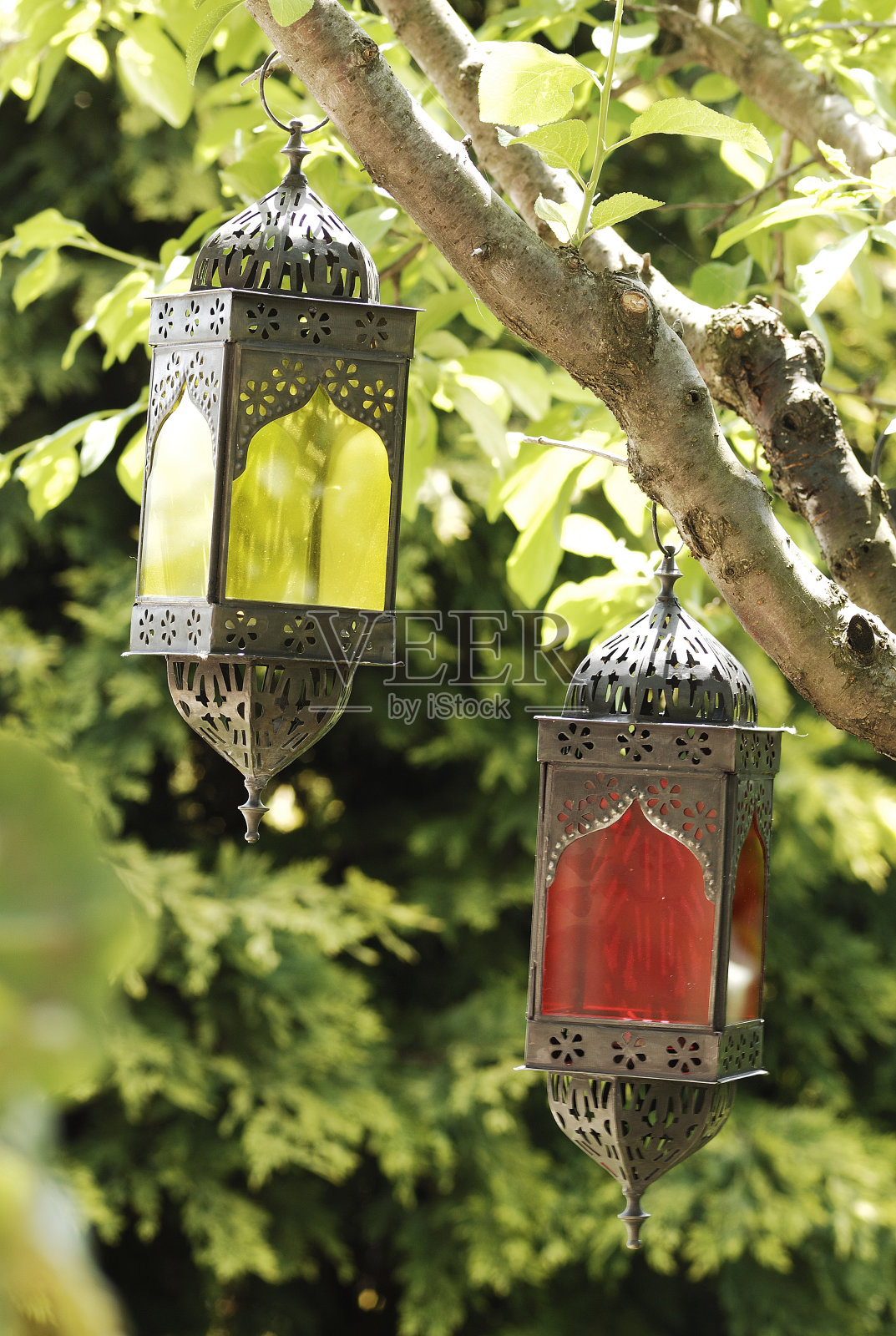 现代家居花园概念照片摄影图片