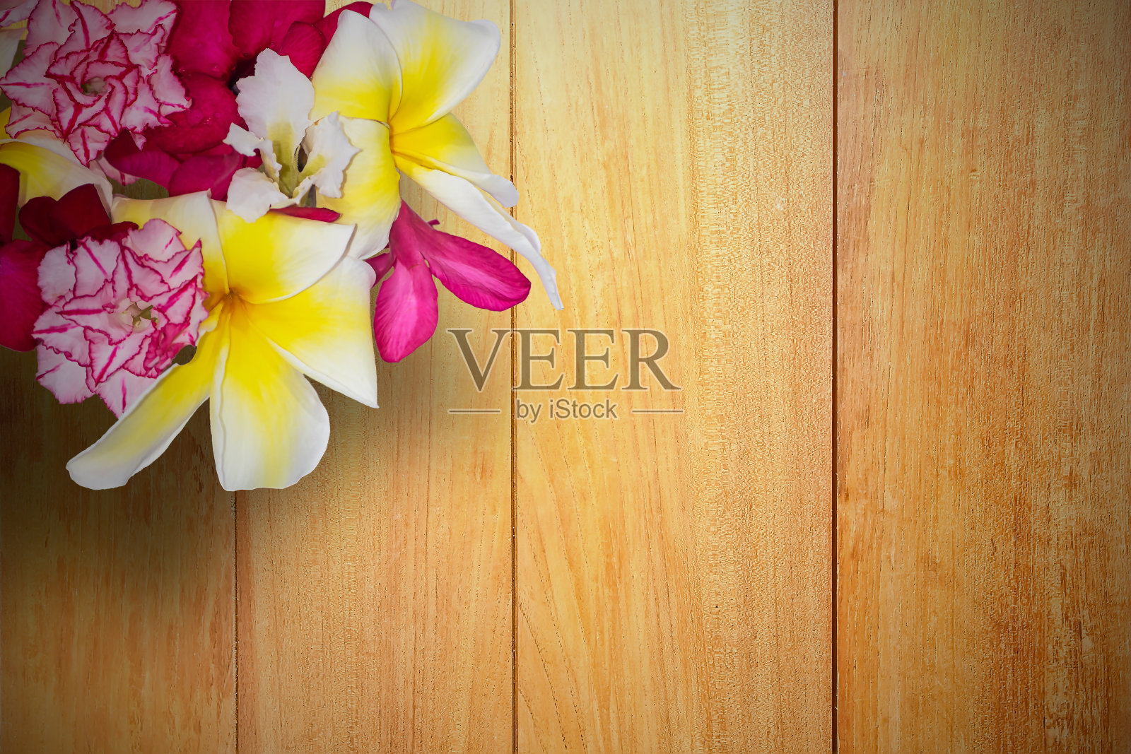 美丽的花朵孤立在木桌上，背景照片摄影图片