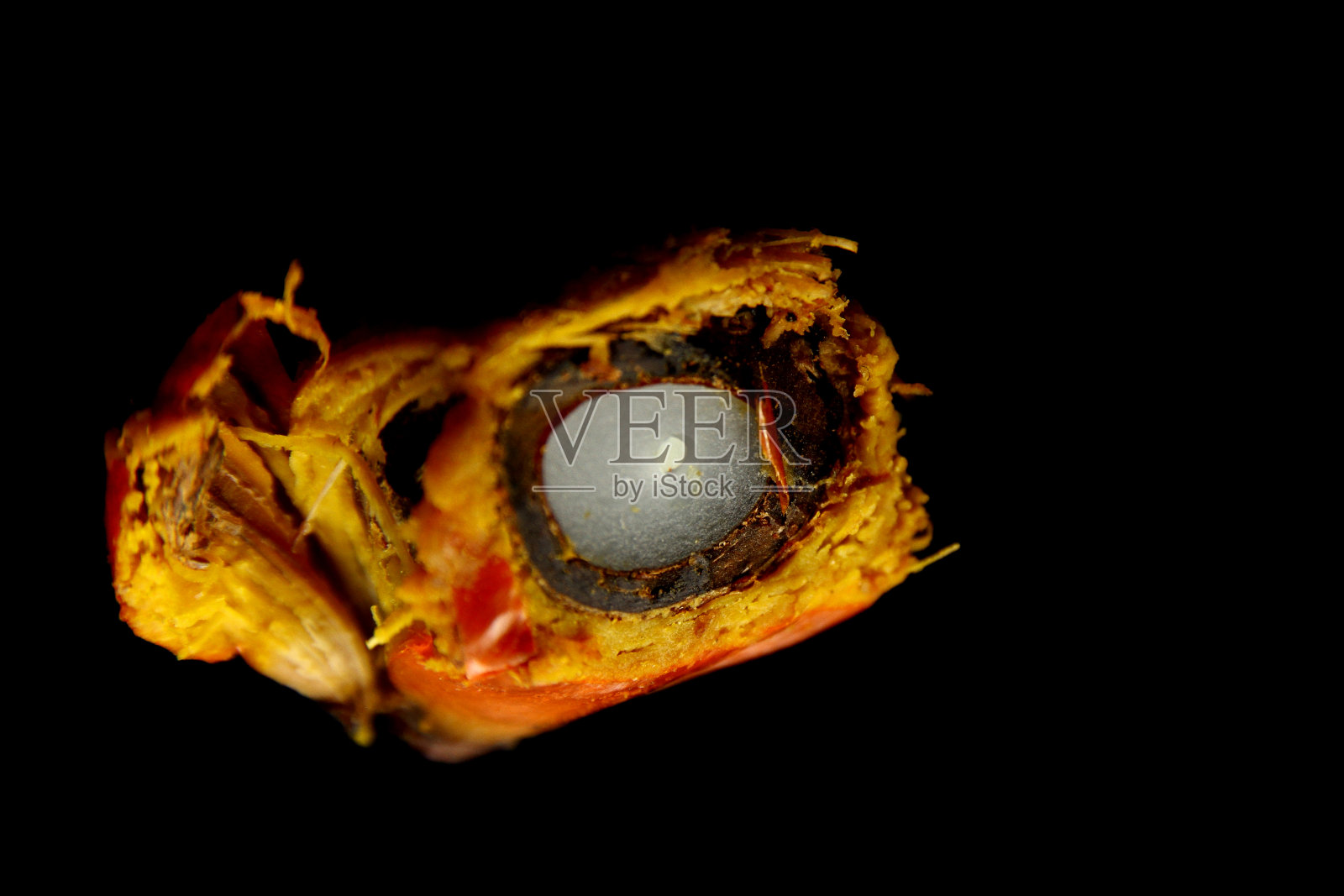 棕榈油的水果照片摄影图片