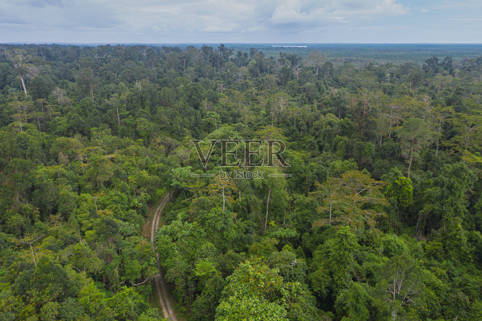 婆罗洲热带森林的鸟瞰图照片摄影图片