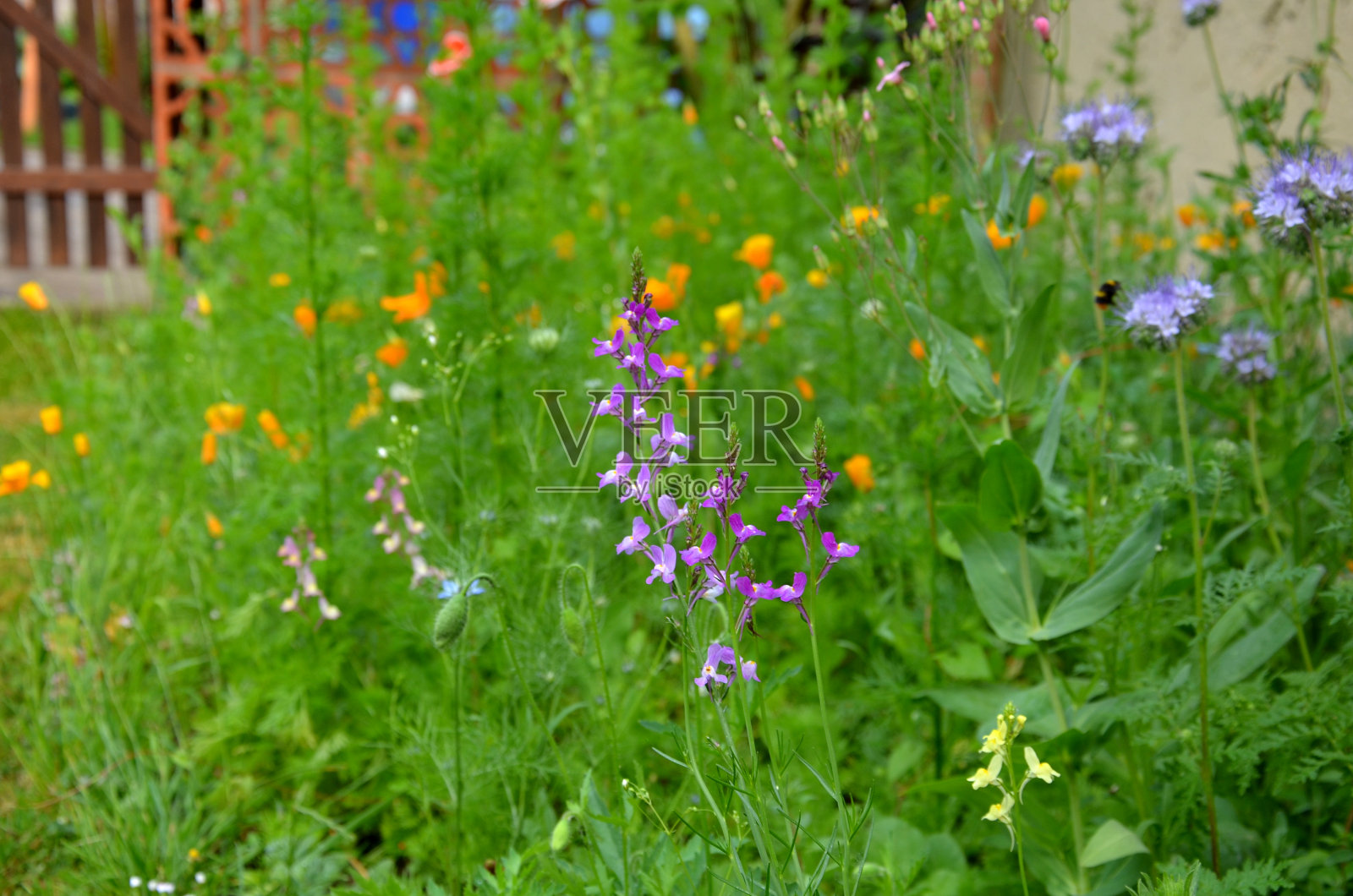 靠近木栅栏的走道，有一条长凳，草地上长着鲜花。奶奶刚走，有一个地方的混凝土砖连锁照片摄影图片