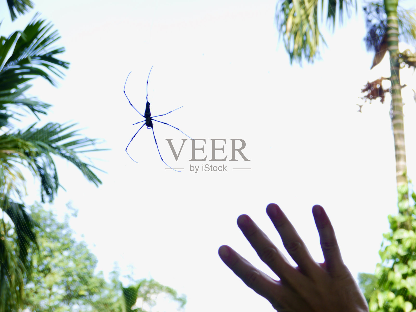 2013年亚洲泰国照片摄影图片