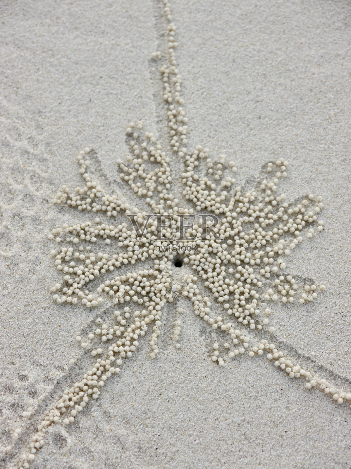 2013年亚洲泰国照片摄影图片