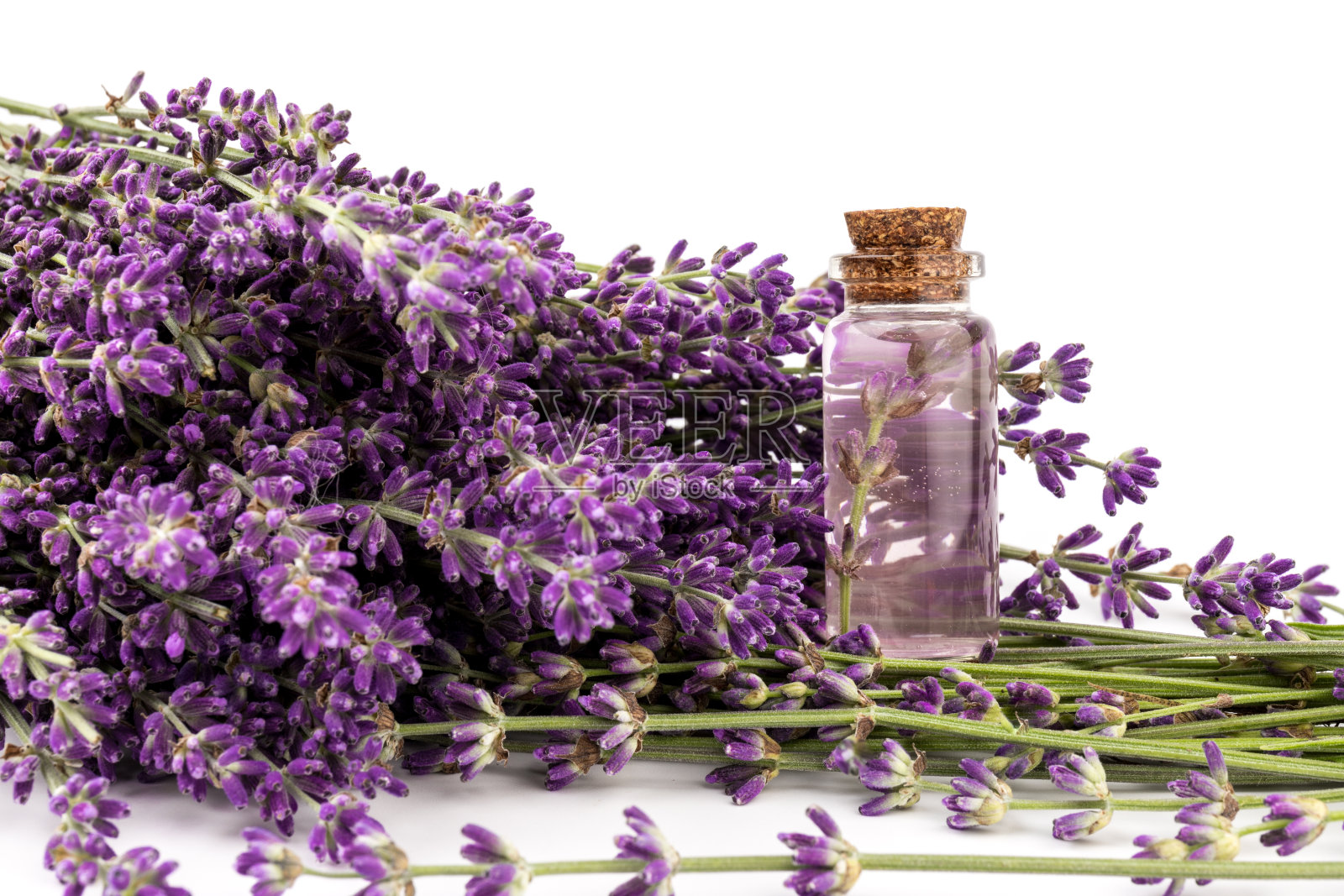 玻璃瓶的薰衣草精油与新鲜的薰衣草花在白色的背景，香薰水疗按摩概念。薰衣草油照片摄影图片